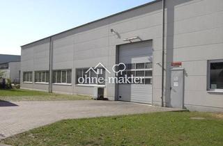 Büro zu mieten in 25421 Pinneberg, Direkt vom Eigentürmer: Gewerbehalle 660m², 6 €/m² kalt