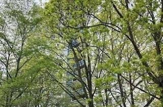 Sozialwohnungen mieten in Osdorfer Str. 48, 12207 Lichterfelde, Lichtdurchflutete 2-Zimmer-Wohnung in Lichterfelde! Mit WBS 160-220!