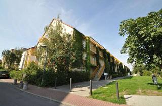 Wohnung mieten in Birkenhof, 15831 Blankenfelde-Mahlow, Helle 1-Zimmer-Wohnung mit Balkon in Blankenfelde-Mahlow