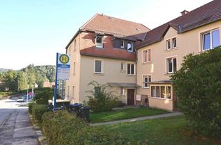 Wohnung mieten in Götzingerstraße 26, 01855 Sebnitz, Kleine, charmante Single-Wohnung !