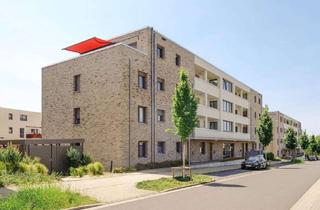 Wohnung mieten in Auf Dem Kleekamp 23, 38442 Fallersleben, Toll geschnittene Neubauwohnung // EG - Wohnberechtigungsschein erfoderlich!