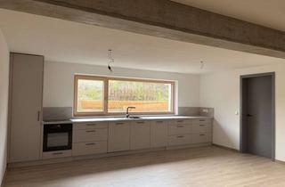 Wohnung mieten in 87775 Salgen, Neubau in Salgen: Helle 1-Zimmer-Souterrain Wohnung mit 66 Quadratmetern