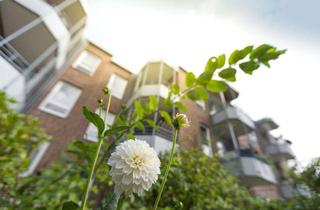Wohnung mieten in Bergstraße, 27570 Geestemünde, 2-Zimmer-Wohnung in begehrter Wohnanlage in Bremerhaven-Geestemünde!
