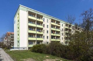 Wohnung mieten in Hermann-Hammerschmidt-Straße 16, 03042 Sandow, Instandgesetzte Wohnung sucht Nachmieter ab 01.11.2026