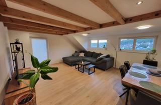 Wohnung mieten in 71665 Vaihingen an der Enz, Schöne 3-Zimmer-DG-Wohnung mit EBK und Dachterrasse in Vaihingen/Enz-Aurich