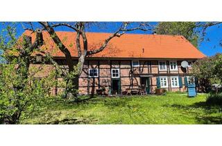 Haus kaufen in 39615 Wanzer, Denkmalgeschütztes Querdielenhaus von 1765 am Deich mit unverbaubarem Blick