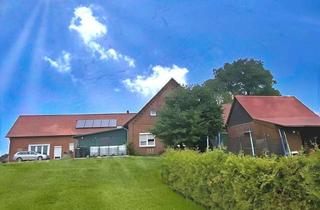 Haus kaufen in 31547 Rehburg-Loccum, Ehemalige Hofstätte mit 3 Wohneinheiten in Rehburg-Loccum