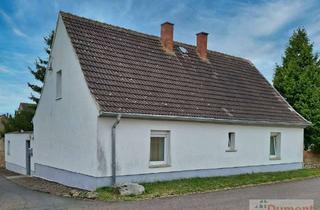 Einfamilienhaus kaufen in 06246 Milzau, Freistehendes Einfamilienhaus mit Wohnkomfort und zusätzlichem Naturgrundstück in Milzau.