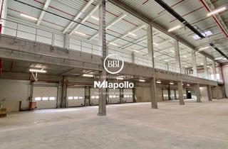Gewerbeimmobilie mieten in 12529 Schönefeld, Logistikfläche 10.900 m² zur Miete in Schönefeld, 6 km zum BER
