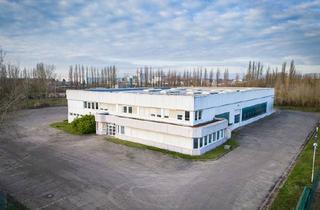 Büro zu mieten in Dieselstr, 39576 Stendal, Teilflächen möglich - Logistikstandort mit zwei Hallen, Büroflächen & Rangierhof in Stendal