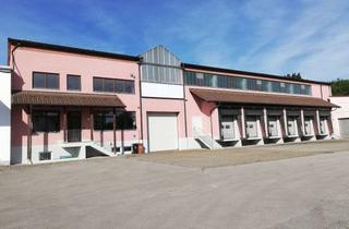 Gewerbeimmobilie mieten in Ziegelring, 87666 Pforzen, Logistikhalle mit LKW-Verladerampen – Gewerbe, Produktion
