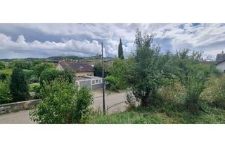 Grundstück zu kaufen in Birkenweg, 79589 Binzen, Seltene Baulücke in Binzen | 310 m² | EFH oder DHH | Südosthang | provisionsfrei