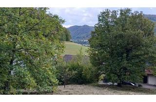 Grundstück zu kaufen in Im Weingarten 28, 72805 Lichtenstein, Rarität: Großes Baugrundstück in prominenter Lage von Lichtenstein