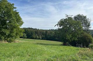 Grundstück zu kaufen in 73669 Lichtenwald, XXL-Garten-Traum in Lichtenwald-Thomashardt Baugrund mit großem Freizeit-Grundstück