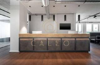 Gewerbeimmobilie mieten in 21079 Harburg, CALEO ¦ Harburg ¦ Brückenquartier ¦ flexibel + sofort bezugsfertig ¦ all inclusive ¦ PROVISIONSFREI