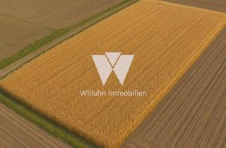 Gewerbeimmobilie kaufen in 04509 Zwochau, Verpachtete Landwirtschaftsfläche | 19,2 Hektar | Landwirte und Investoren aufgepasst!