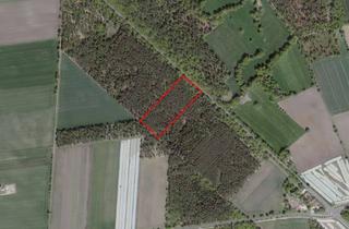 Gewerbeimmobilie kaufen in 31311 Uetze, Uetze - Eltze - Waldgrundstück Nähe Kreuzkrug