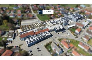 Gewerbeimmobilie kaufen in 78564 Wehingen, Großflächiger Industriekomplex mit Verwaltung, Lager, Hochregallager und Produktionshallen