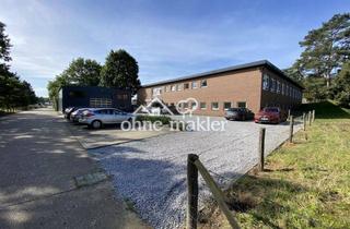 Gewerbeimmobilie kaufen in 48653 Coesfeld, Selbstgenutzt oder vermietet - Gewerbeimmobilie in Coesfeld