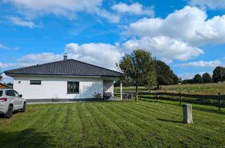 Einfamilienhaus kaufen in 32839 Steinheim, Steinheim - Modernes Einfamilienhaus (freistehend) in idyllischer Lage