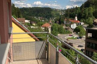 Wohnung kaufen in 78098 Triberg, Triberg im Schwarzwald - Schicke 3 Zimmer in Sonnenlage von Triberg