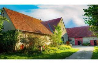 Haus kaufen in 32361 Preußisch Oldendorf, Preußisch Oldendorf - Hofstelle im Grünen - sehr gepflegtes ländliches Anwesen