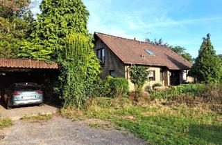 Einfamilienhaus kaufen in 48734 Reken, Reken - Modernisiertes Einfamilienhaus mit 144 m², Vollkeller & 589 m²