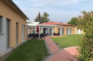 Wohnung mieten in Torgauer Straße 39 b, 06905 Bad Schmiedeberg, Betreutes Wohnen in Bad Schmiedeberg