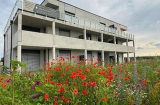 Wohnung mieten in 97215 Uffenheim, Wohnen mit Weitblick 2,5 Zimmer und TOP Küche
