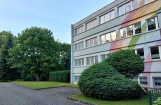 Wohnung mieten in Schlossweg 20, 09648 Mittweida, Möbliertes (Campus Studio, 27 m2) - alle Nebenkosten inklusive, auch für 1 Semester!