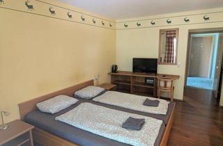 Wohnung mieten in Berghäuser Straße 31, 93479 Grafenwiesen, Praktische Apartment in Grafenwiesen