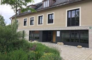 Wohnung mieten in Petersgasse 15, 82418 Murnau, Helle 2-Zimmer-Dachgeschosswohnung mit Galerie, Einbauküche und Balkon in Murnau