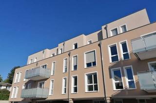 Penthouse mieten in Kleestieg 5f, 37077 Göttingen, Penthouse-Wohnung in Nikolausberg