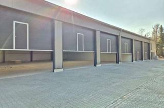 Garagen mieten in Emmener Straße, 49716 Meppen, Sicherer Stellplatz in Meppen