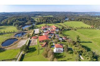 Villa kaufen in 82347 Bernried, Einzigartige Dimensionen. Luxuriöses Gestüt mit historischer Villa.