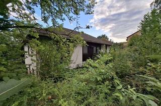 Einfamilienhaus kaufen in 31188 Holle, Einfamilienhaus mit großem Garten