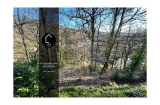 Einfamilienhaus kaufen in 69198 Schriesheim, Viel Raum für Ihre Träume – freistehendes Einfamilienhaus mit Einliegerwohnung inmitten der Natur
