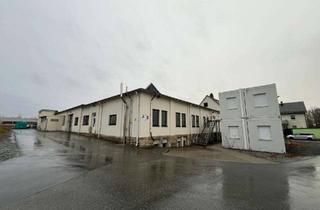 Gewerbeimmobilie mieten in Alte Münchberger Straße, 95234 Sparneck, Industriehalle mit Freifläche in Sparneck