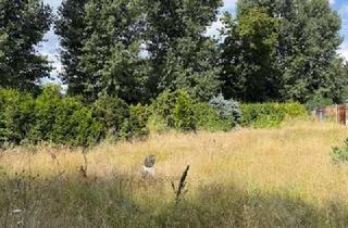 Grundstück zu kaufen in 15366 Hoppegarten, 520 m² direkt an der Berliner Stadtgrenze für 155.000,00 €!