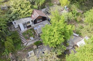 Grundstück zu kaufen in 70619 Sillenbuch, Idyllisches Gartengrundstück mit Terrassenstruktur, Gartenbestand und Stellplatz in Waldrandlage
