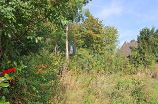 in 29320 Hermannsburg, Baugrundstück auf Erbpachtbasis