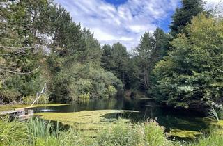 Immobilie kaufen in 73453 Abtsgmünd, Der Weg in eine grüne Zukunft-Energieautonomer Bauernhof mit Wald, Wasserquelle und Photovoltaik