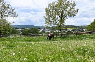 Immobilie kaufen in 53501 Grafschaft, Private Reitanlage mit Panoramaweitblick vor den Türen Bonn und Koblenz