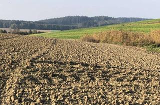 Gewerbeimmobilie kaufen in 84187 Weng, Ca. 4,95 ha Land- und Forstwirtschaftliche Flächen zum Kauf