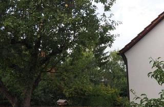 Wohnung mieten in Schloßstraße 14, 86573 Obergriesbach, Suche Mitbewohnerin in unserer Hausgemeinschaft