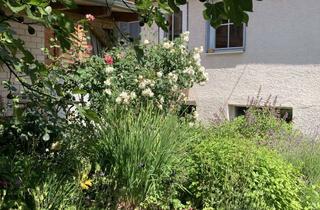 Haus mieten in 74206 Bad Wimpfen, Kleines Anwesen mit Garten in der Altstadt von Bad Wimpfen