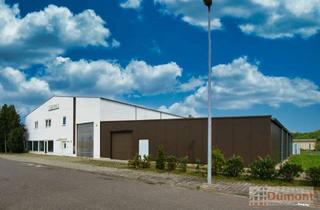 Gewerbeimmobilie kaufen in 06217 Merseburg, Zahlreiche Möglichkeiten! Büro-/Produktions- und Lagerhalle in Merseburg. Nutzen Sie diese Chance!