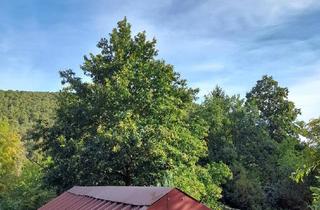 Immobilie kaufen in 67098 Bad Dürkheim, Raus aus dem Alltag - rein in die Natur