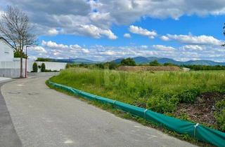 Grundstück zu kaufen in 77767 Appenweier, UNVERBAUTER SCHWARZWALD-BLICK