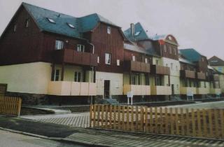 Wohnung kaufen in 09599 Freiberg, Freiberg - Charmante Eigentumswohnung in Freiberg Sachsen zu verkaufen